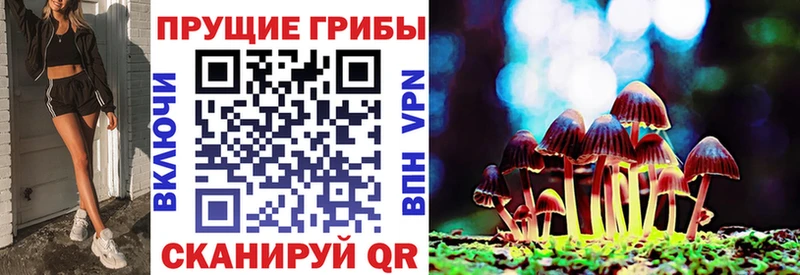 купить наркоту  Борисоглебск  darknet какой сайт  Галлюциногенные грибы ЛСД 