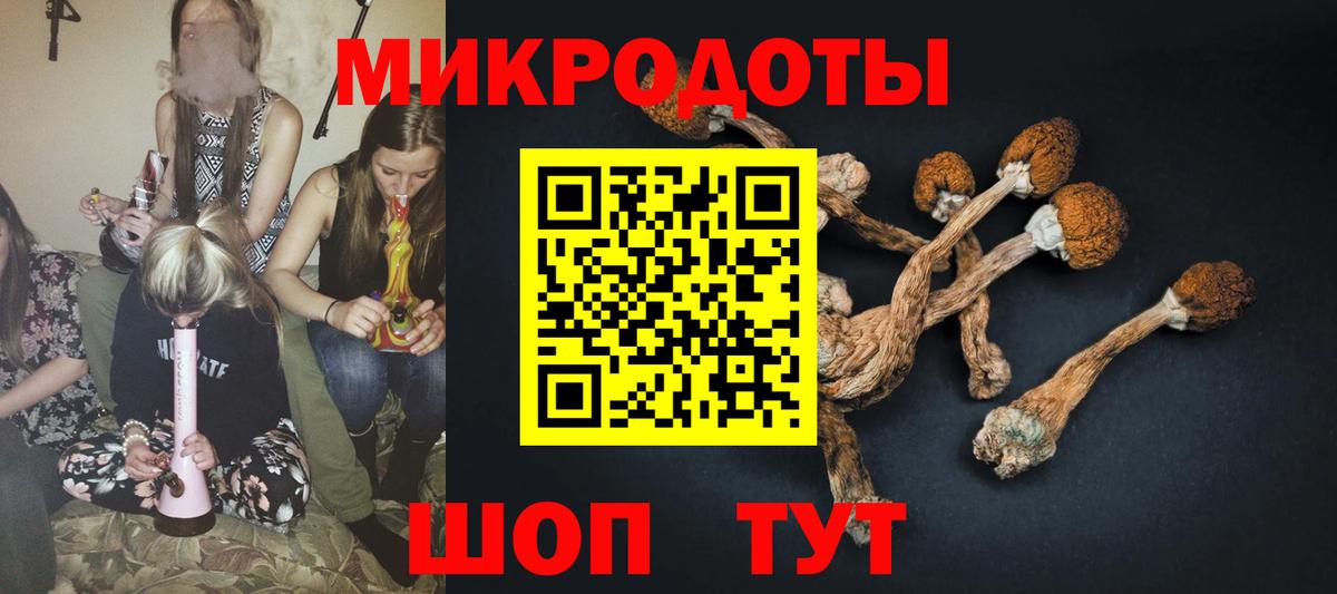 Галлюциногенные грибы Psilocybine cubensis  Галлюциногенные грибы Psilocybe  Борисоглебск 