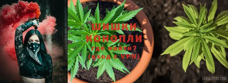 Шишки марихуана THC 21%  Борисоглебск 